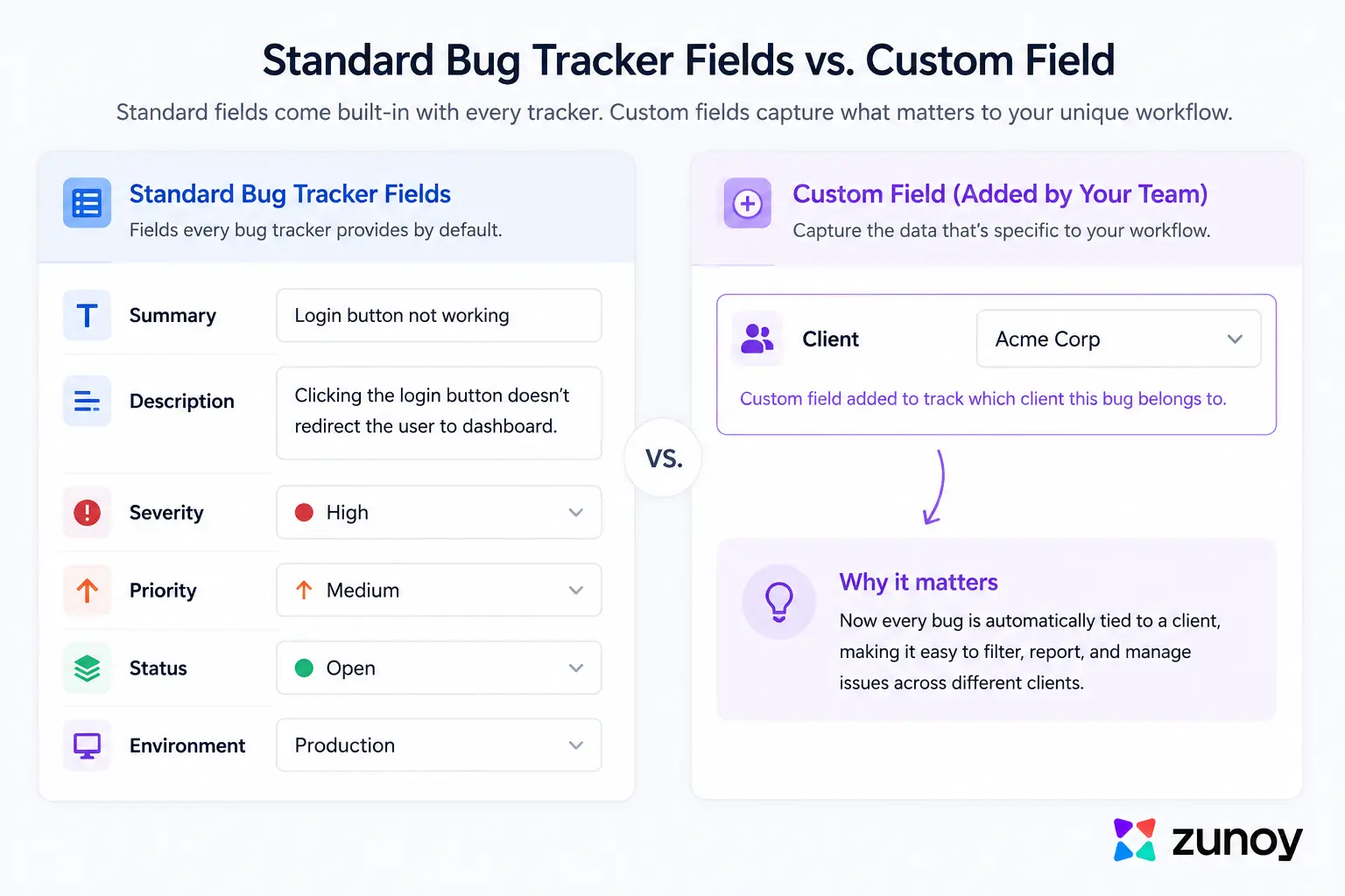 Standard and Custom Fields in a Bug Tracker.webp